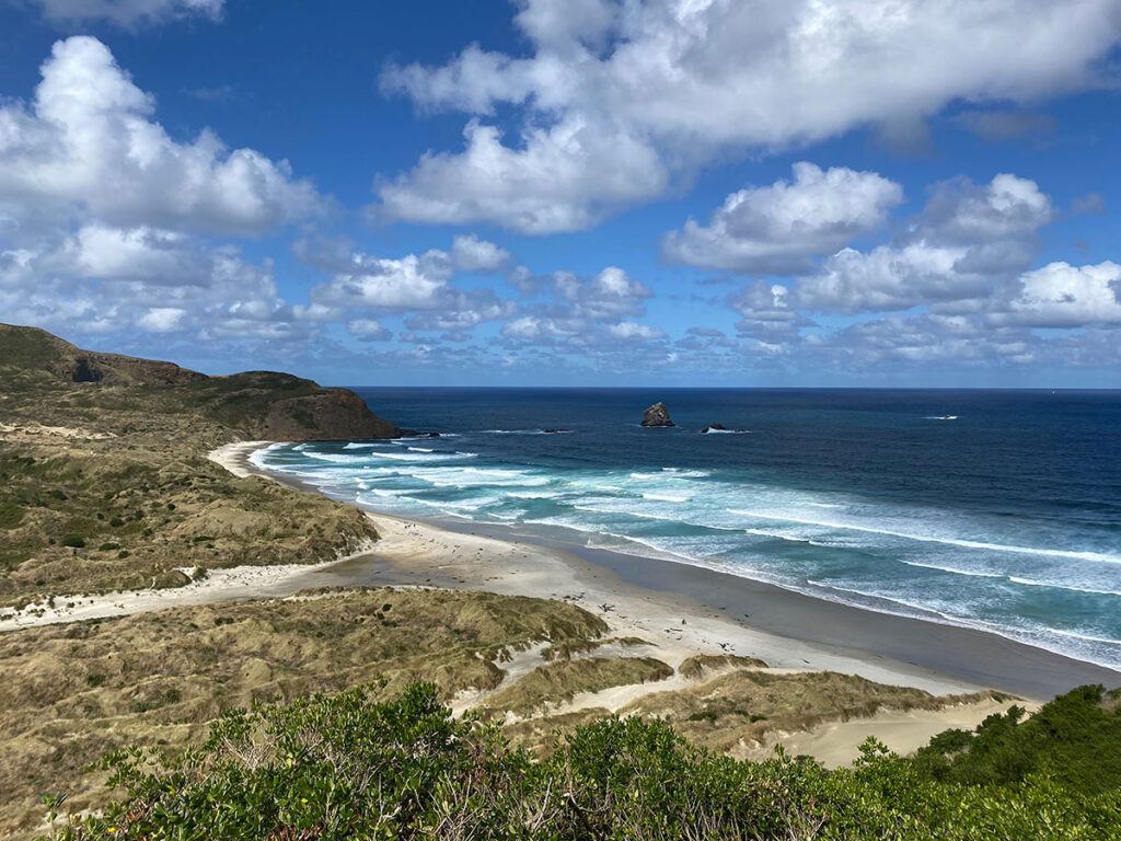 Sandfly Bay Dunedin beach view