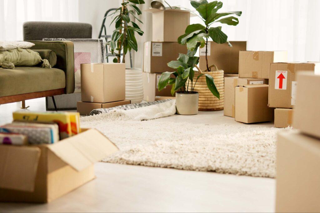 Moving boxes for downsizing